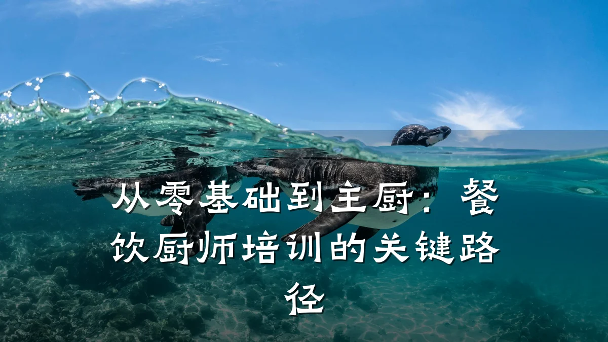 从零基础到主厨：餐饮厨师培训的关键路径
