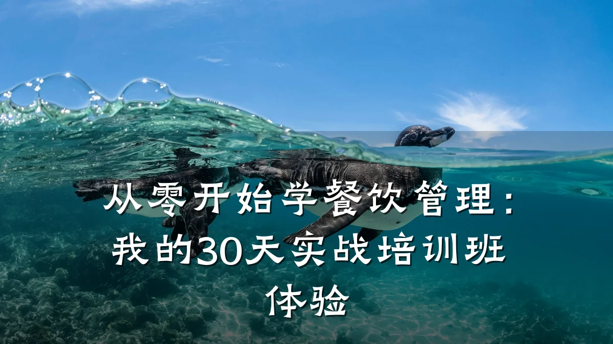 从零开始学餐饮管理：我的30天实战培训班体验