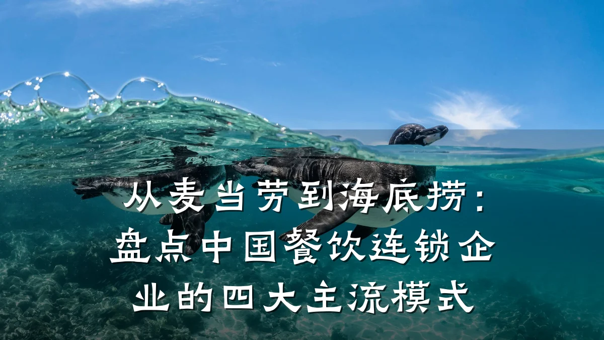 从麦当劳到海底捞：盘点中国餐饮连锁企业的四大主流模式