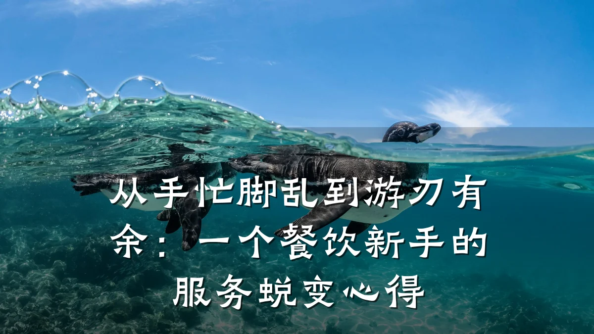 从手忙脚乱到游刃有余：一个餐饮新手的服务蜕变心得