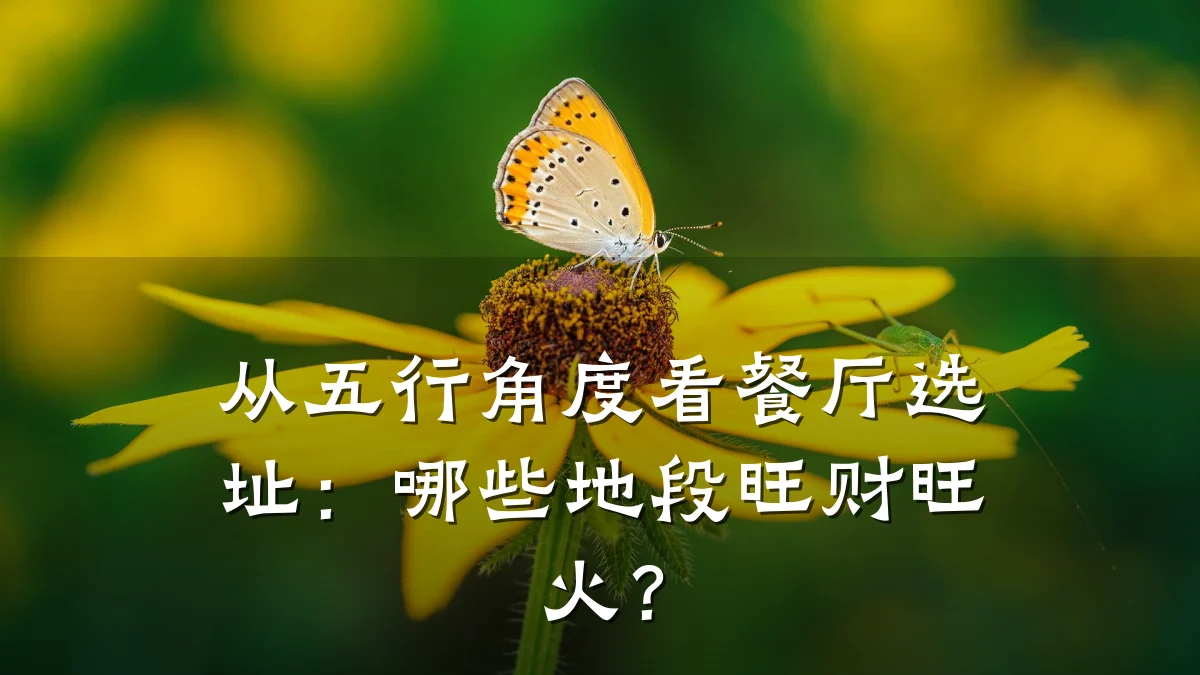 从五行角度看餐厅选址:哪些地段旺财旺火?