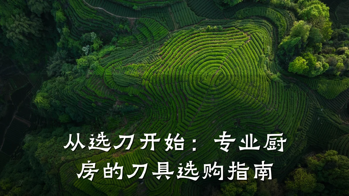 从选刀开始：专业厨房的刀具选购指南