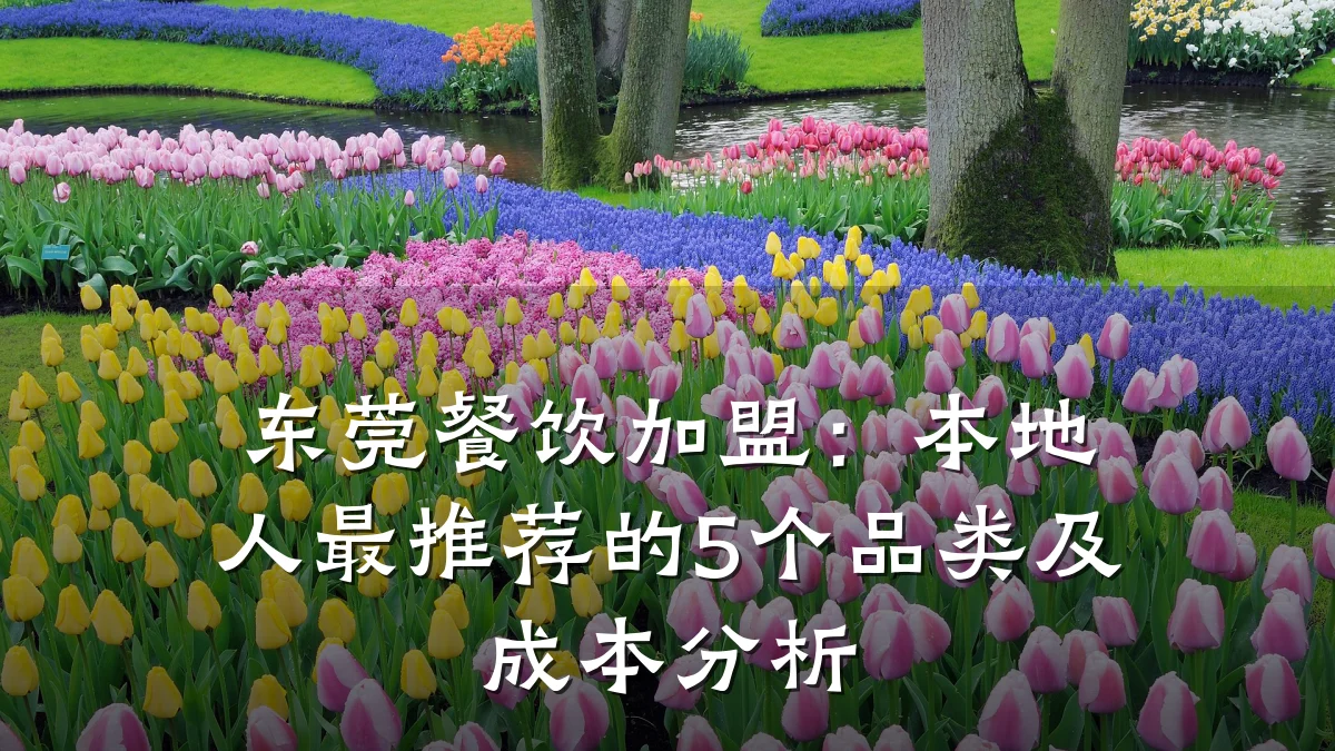 东莞餐饮加盟：本地人最推荐的5个品类及成本分析