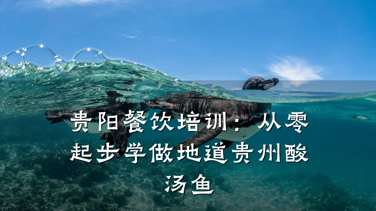 贵阳餐饮培训：从零起步学做地道贵州酸汤鱼