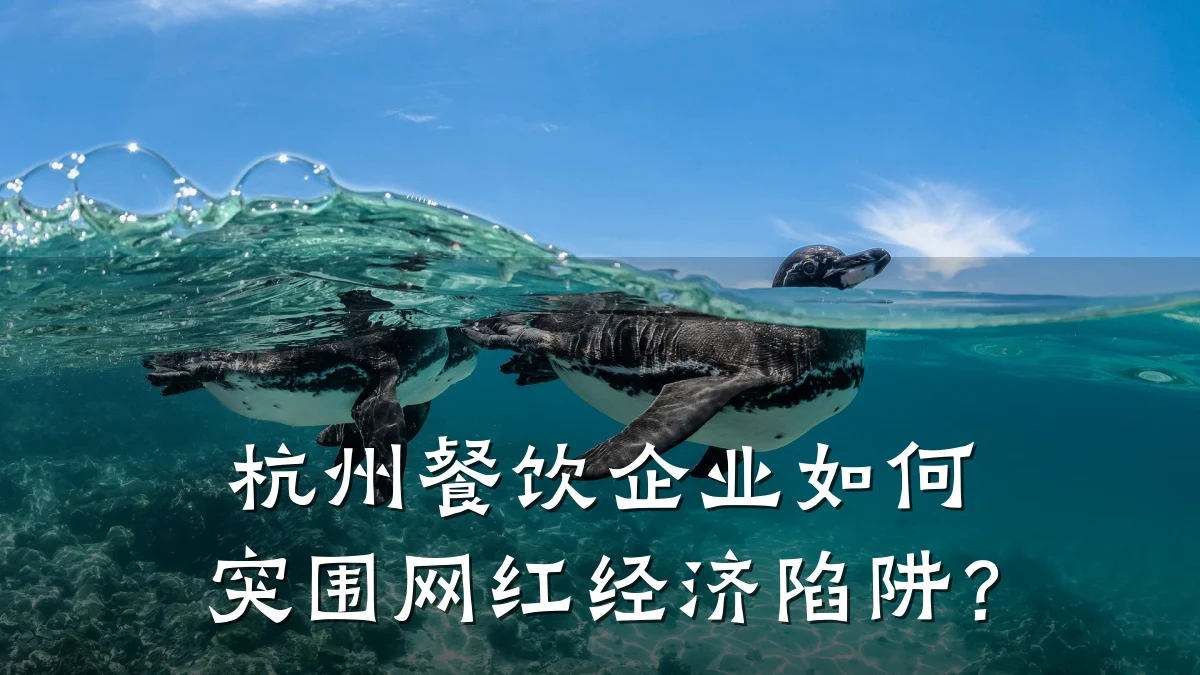 杭州餐饮企业如何突围网红经济陷阱？