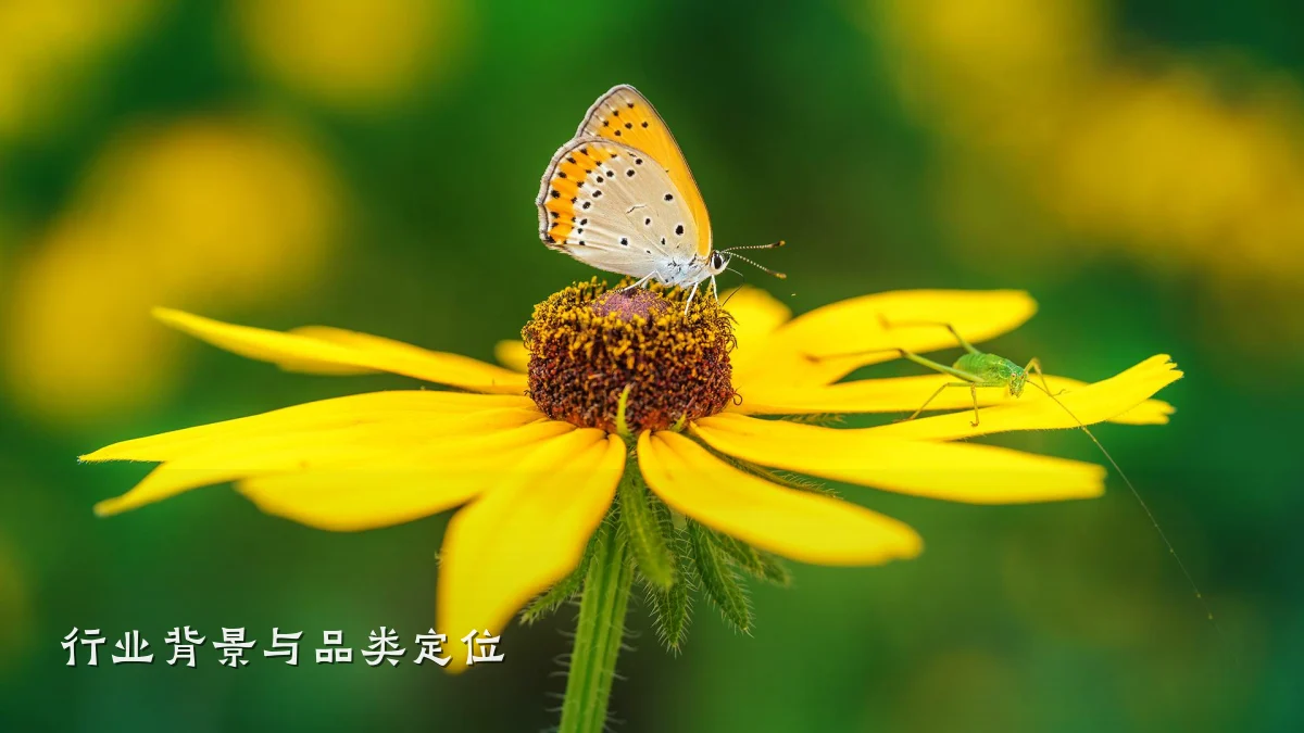 行业背景与品类定位