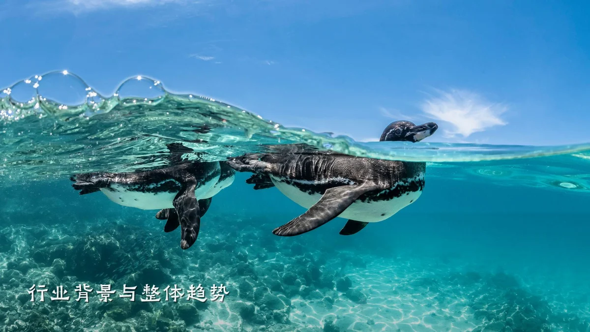 行业背景与整体趋势
