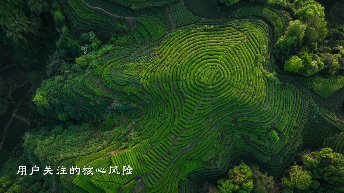 用户关注的核心风险