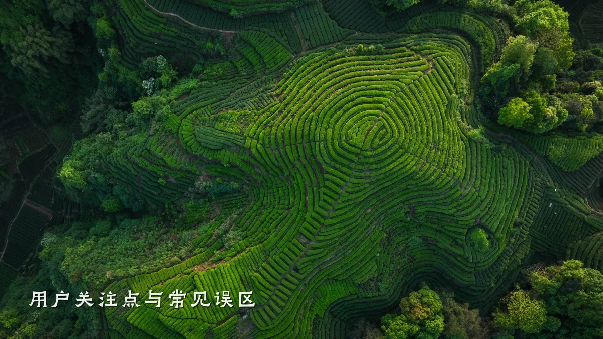 用户关注点与常见误区