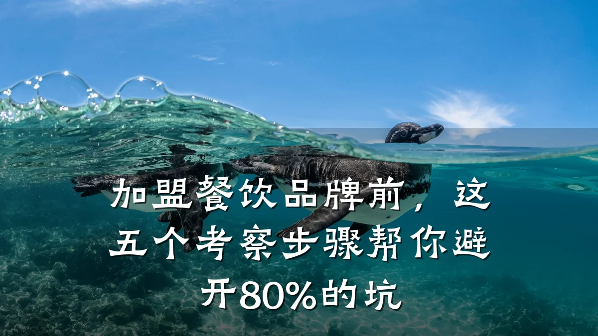 加盟餐饮品牌前,这五个考察步骤帮你避开80%的坑