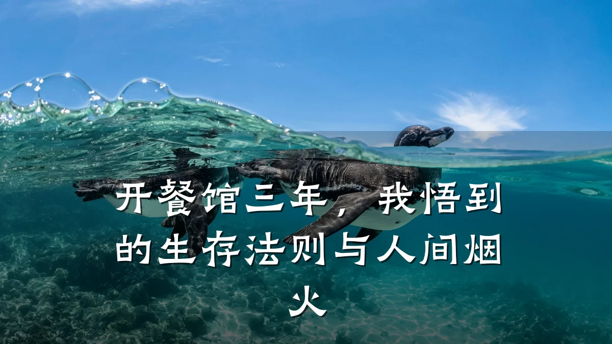 开餐馆三年，我悟到的生存法则与人间烟火