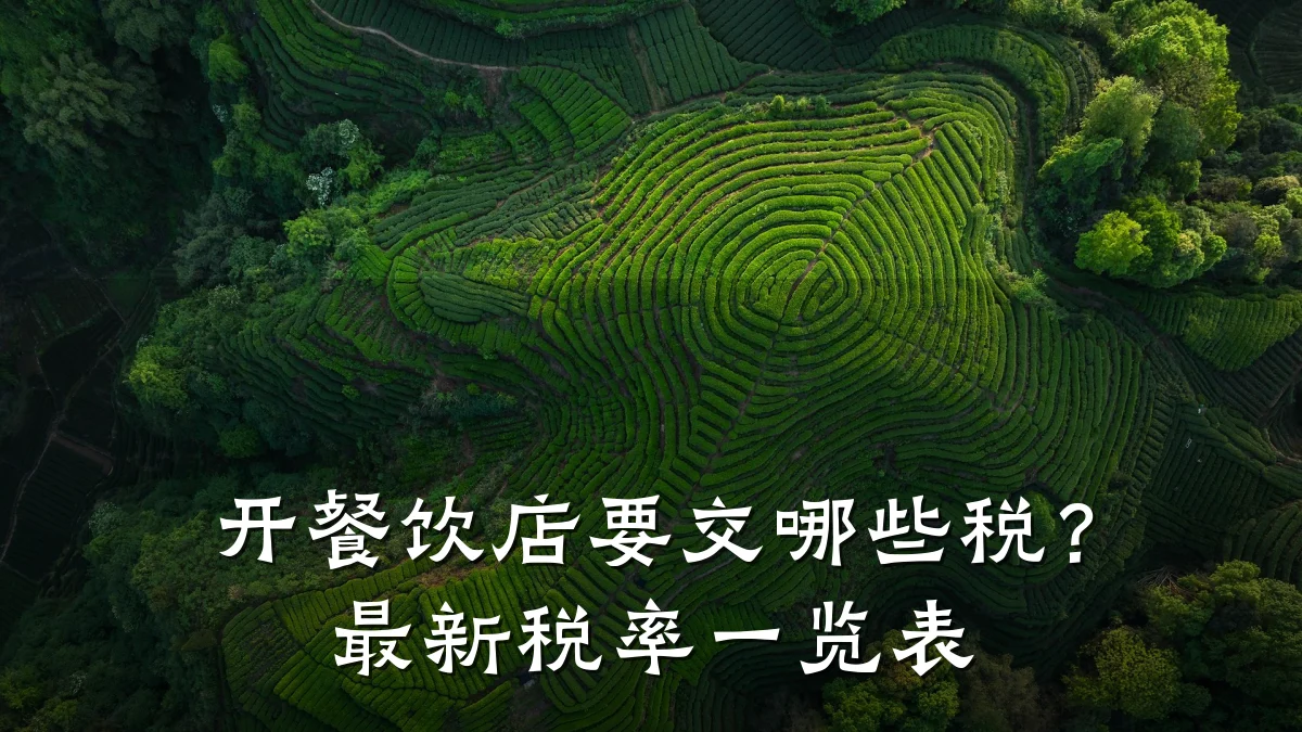 开餐饮店要交哪些税？最新税率一览表