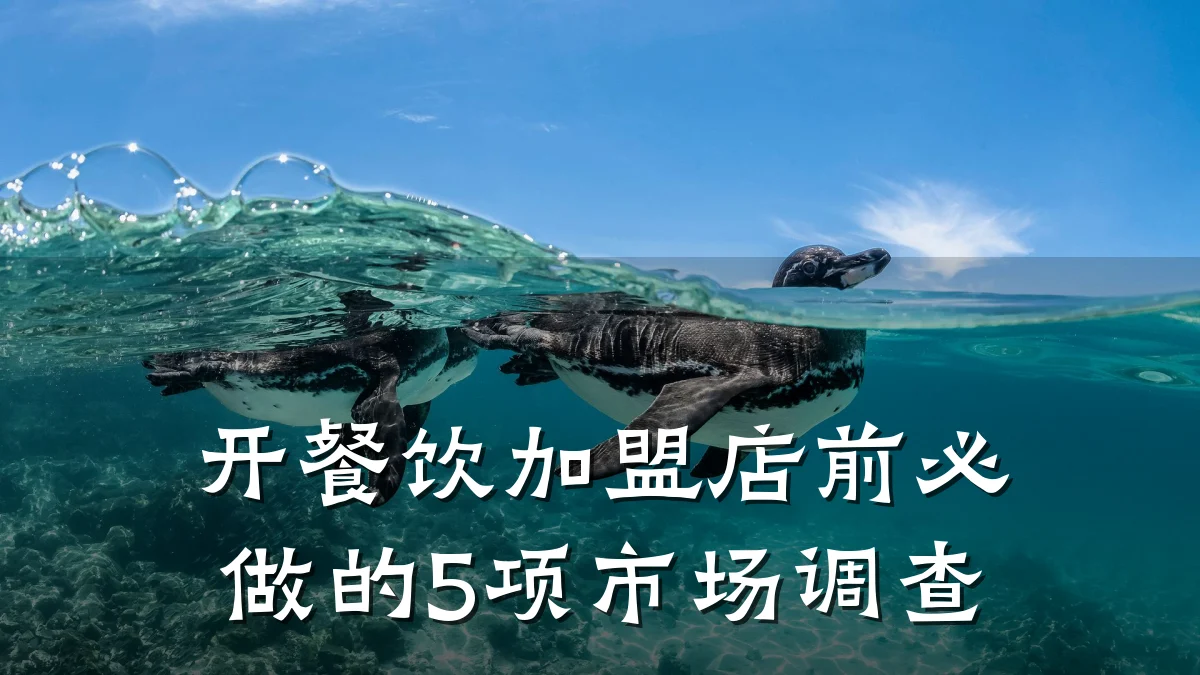 开餐饮加盟店前必做的5项市场调查