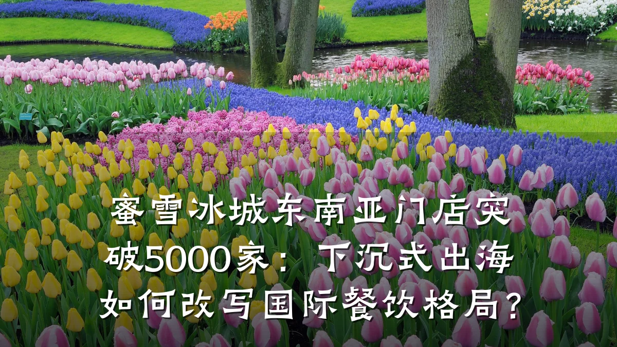 蜜雪冰城东南亚门店突破5000家：下沉式出海如何改写国际餐饮格局？