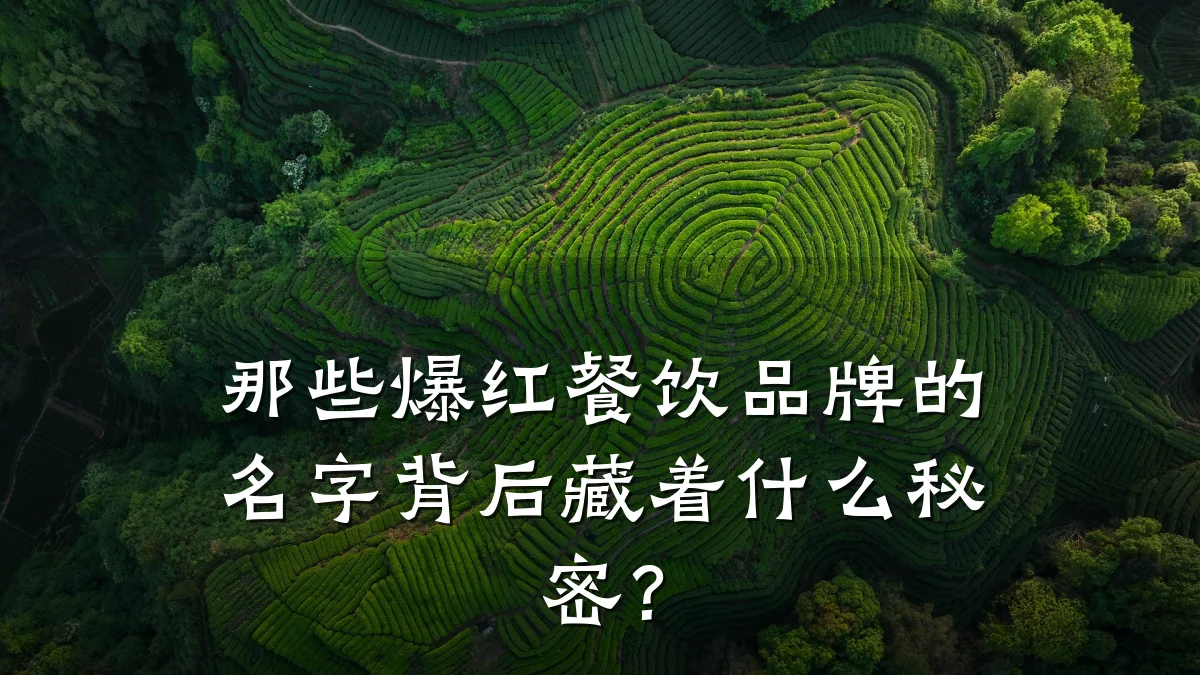 那些爆红餐饮品牌的名字背后藏着什么秘密？