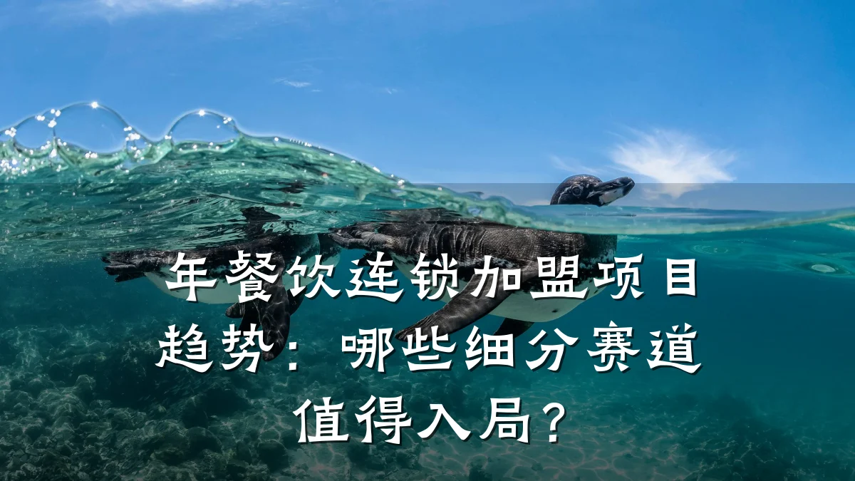 年餐饮连锁加盟项目趋势：哪些细分赛道值得入局？