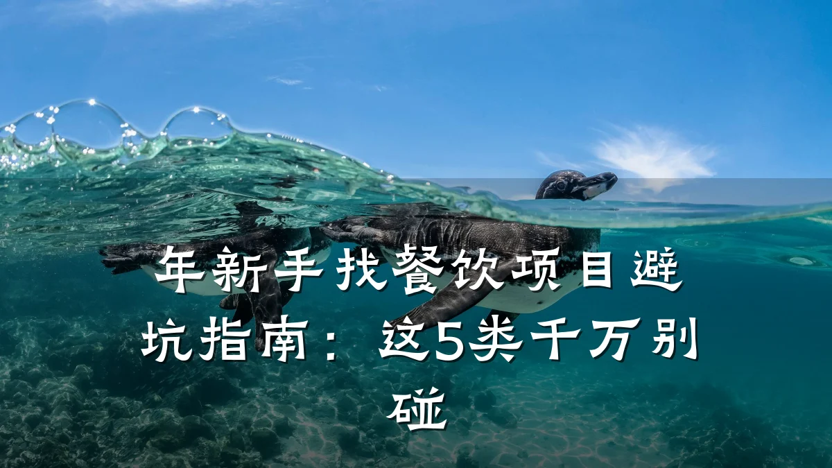 年新手找餐饮项目避坑指南:这5类千万别碰
