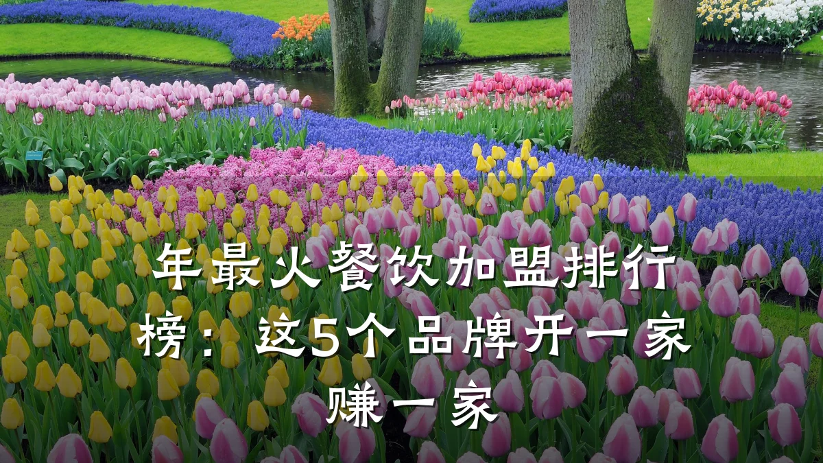 年最火餐饮加盟排行榜：这5个品牌开一家赚一家