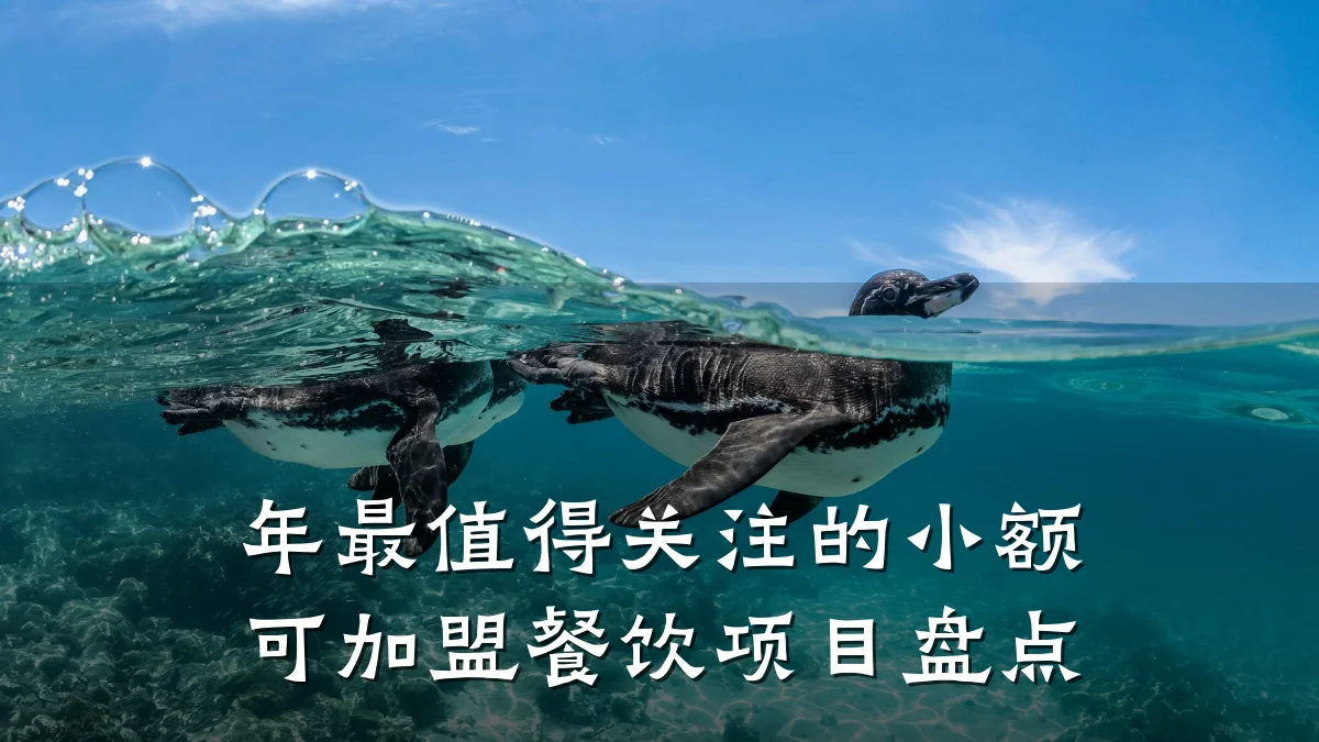 年最值得关注的小额可加盟餐饮项目盘点