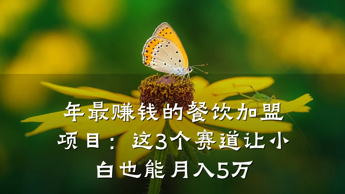 年最赚钱的餐饮加盟项目：这3个赛道让小白也能月入5万