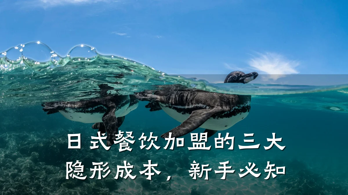 日式餐饮加盟的三大隐形成本，新手必知