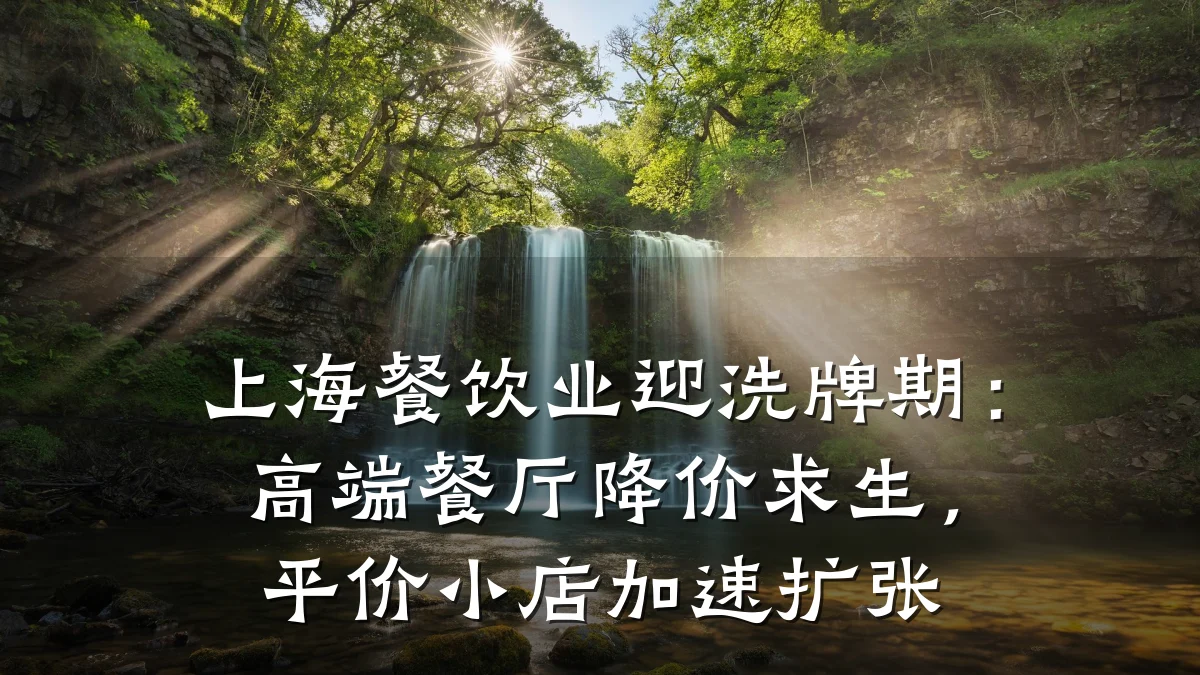 上海餐饮业迎洗牌期：高端餐厅降价求生，平价小店加速扩张
