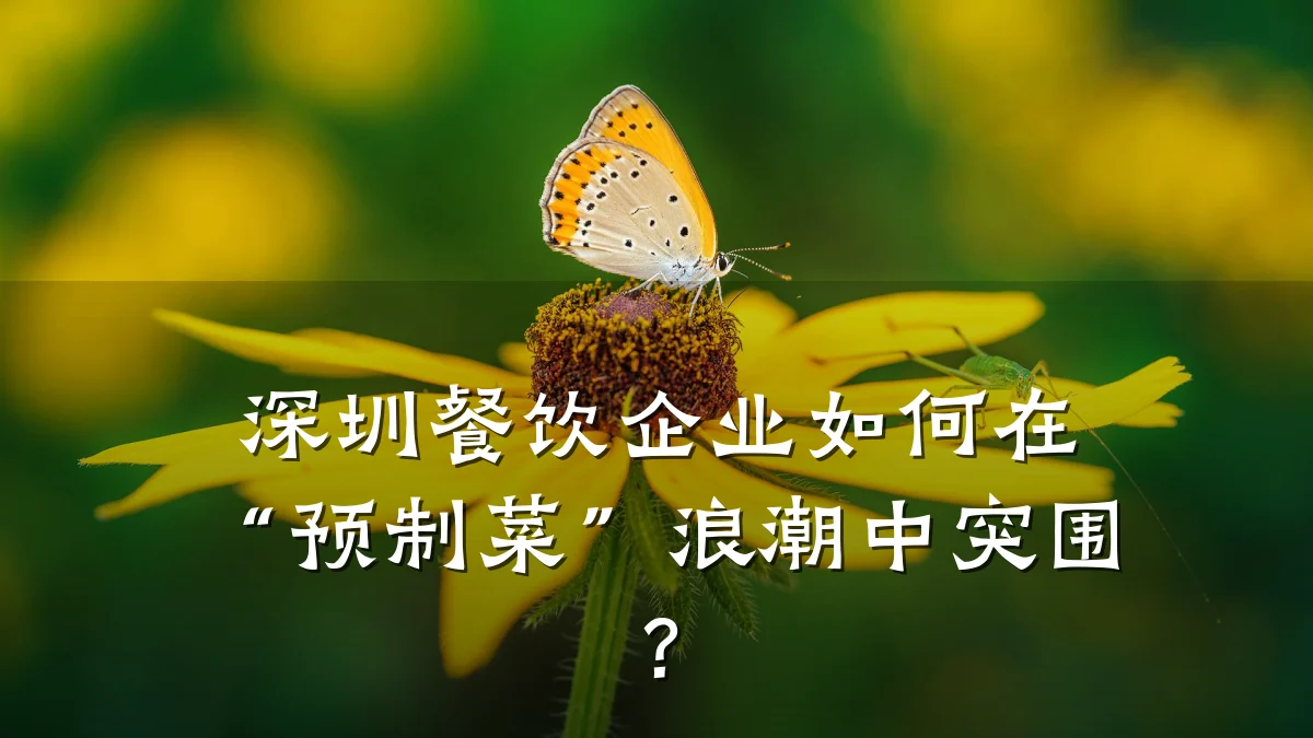深圳餐饮企业如何在“预制菜”浪潮中突围？