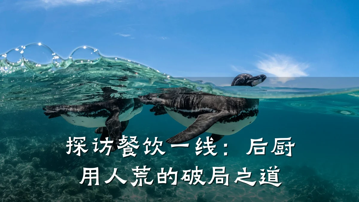 探访餐饮一线：后厨用人荒的破局之道