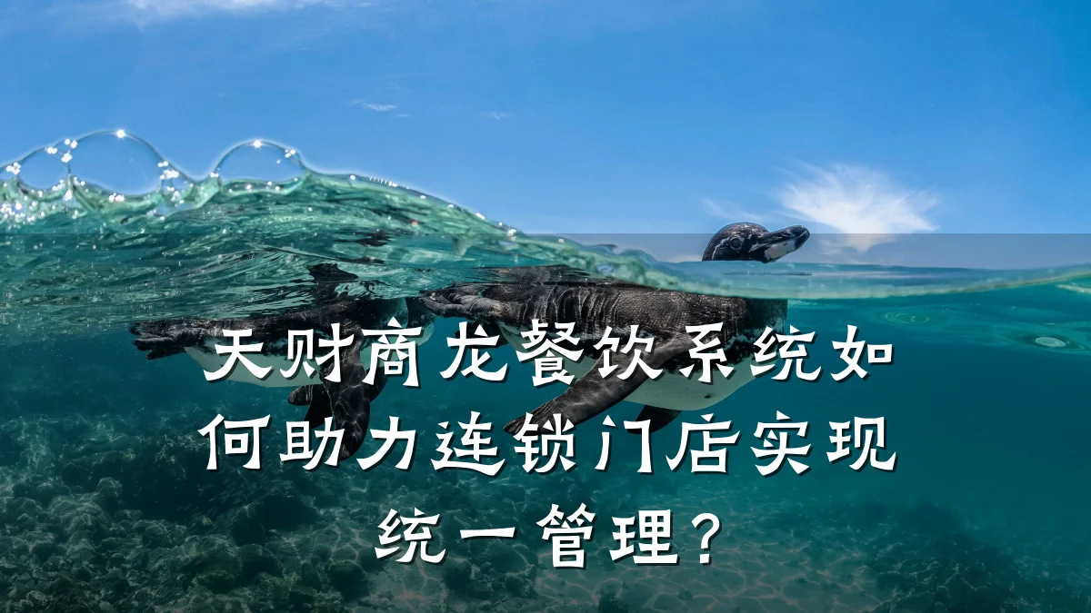 天财商龙餐饮系统如何助力连锁门店实现统一管理？
