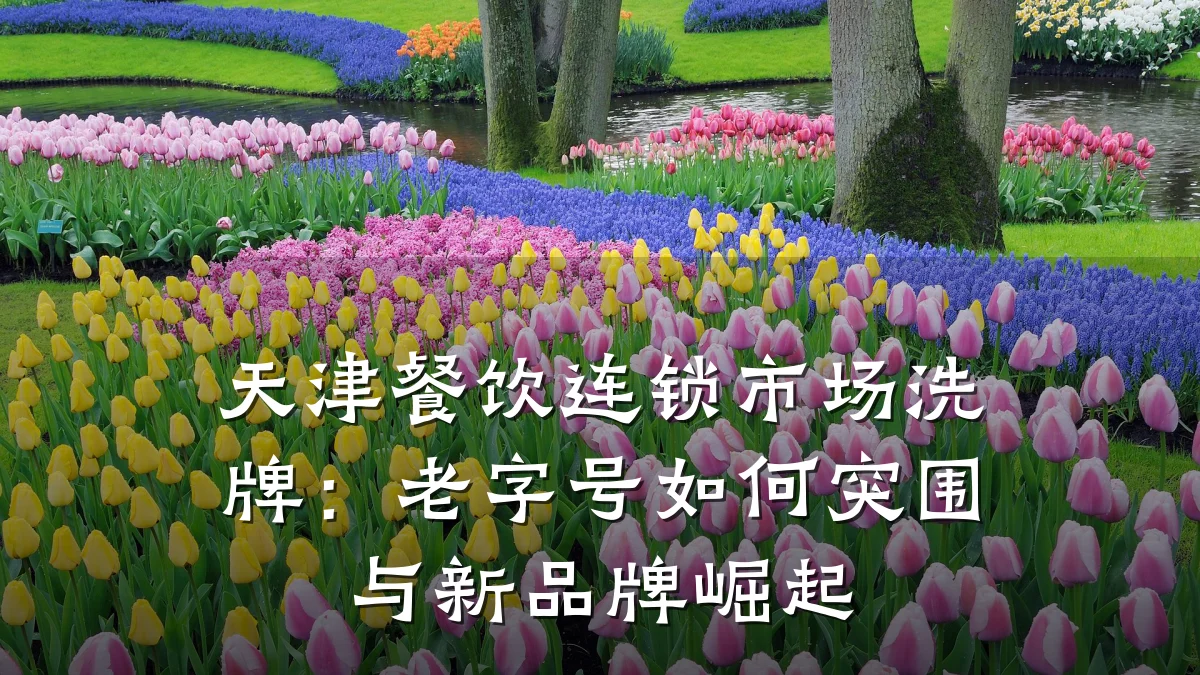 天津餐饮连锁市场洗牌:老字号如何突围与新品牌崛起