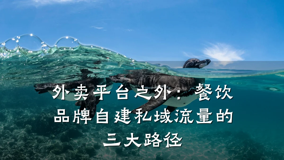 外卖平台之外：餐饮品牌自建私域流量的三大路径