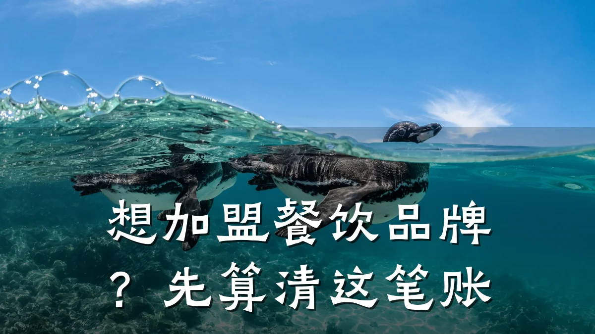 想加盟餐饮品牌？先算清这笔账