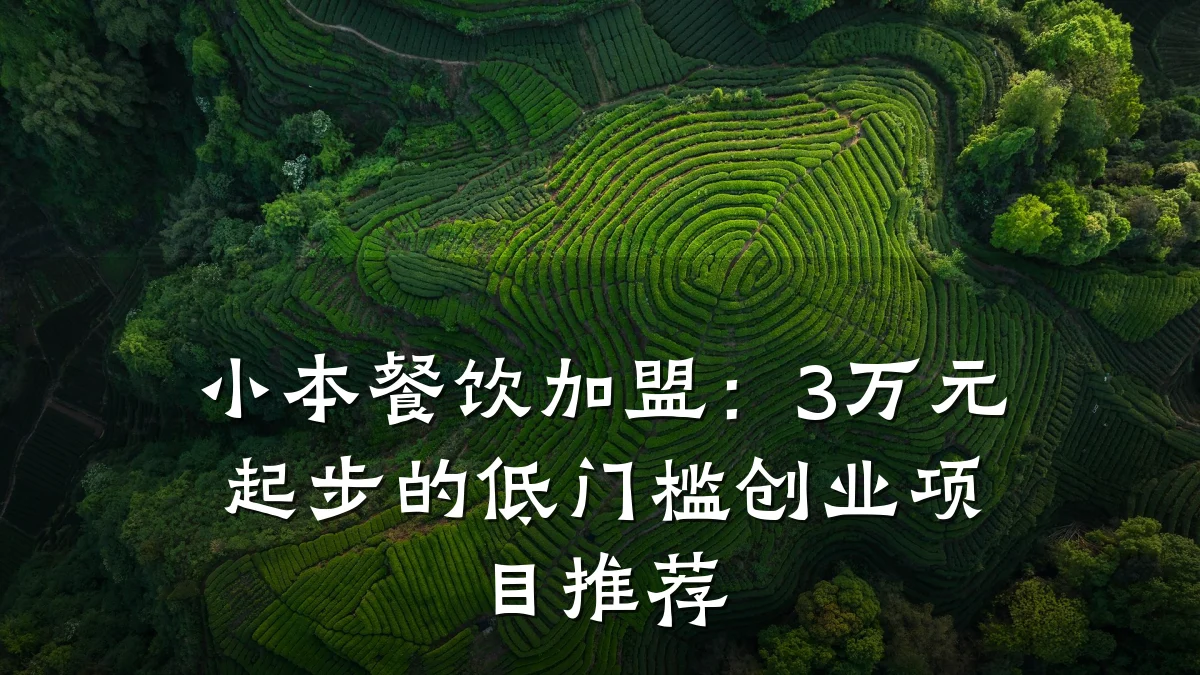 小本餐饮加盟:3万元起步的低门槛创业项目推荐