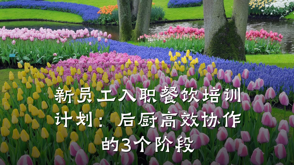 新员工入职餐饮培训计划：后厨高效协作的3个阶段