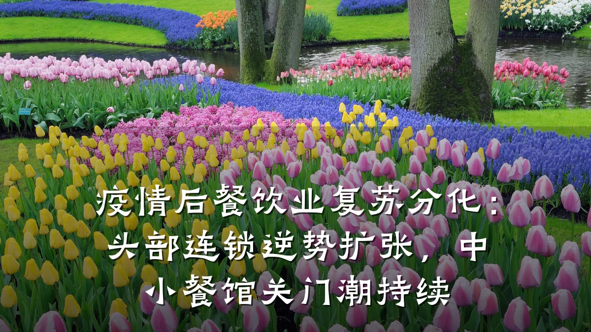 疫情后餐饮业复苏分化：头部连锁逆势扩张，中小餐馆关门潮持续