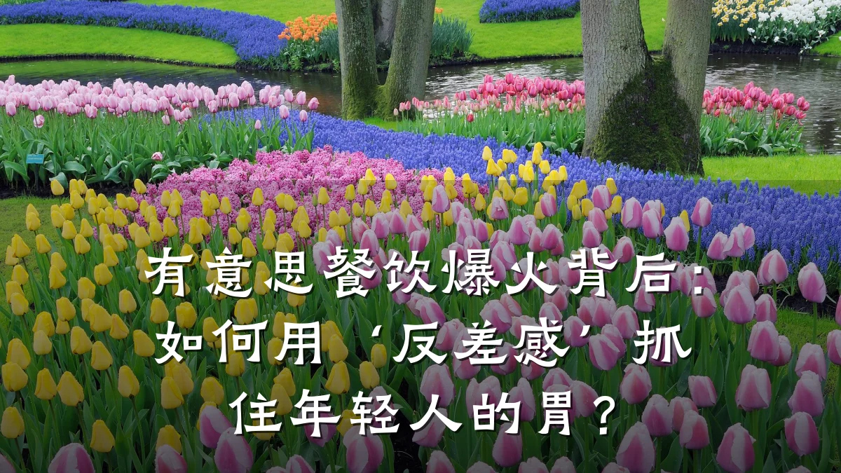 有意思餐饮爆火背后：如何用‘反差感’抓住年轻人的胃？