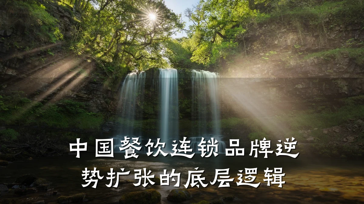 中国餐饮连锁品牌逆势扩张的底层逻辑