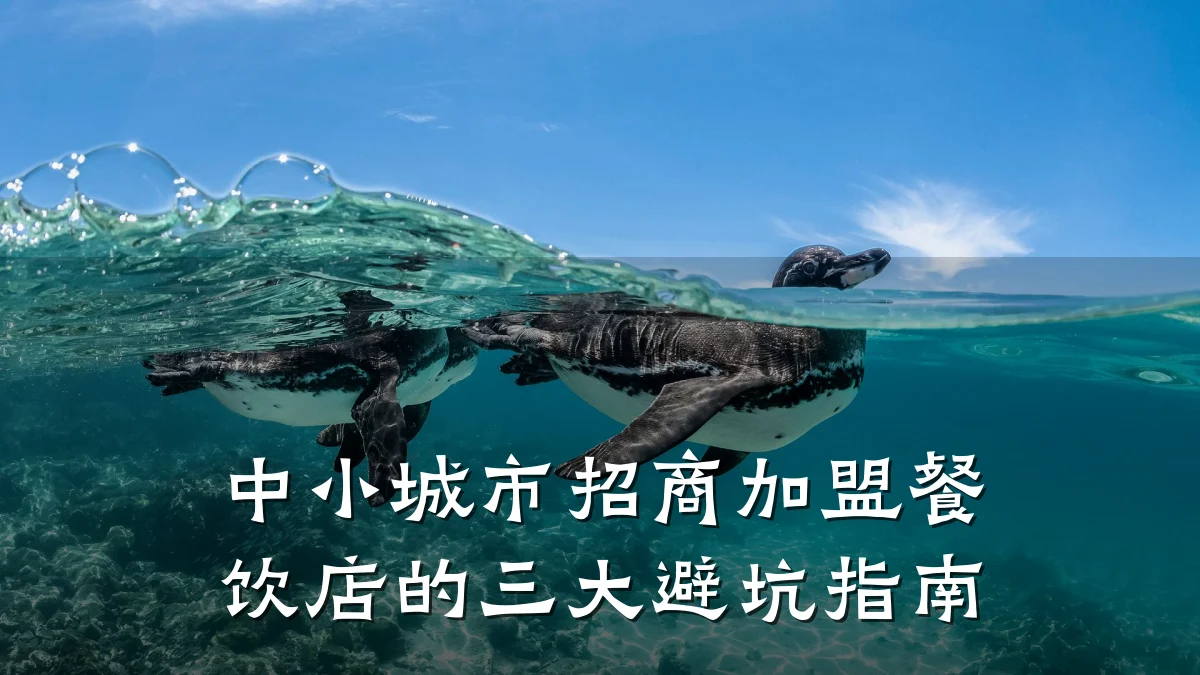 中小城市招商加盟餐饮店的三大避坑指南