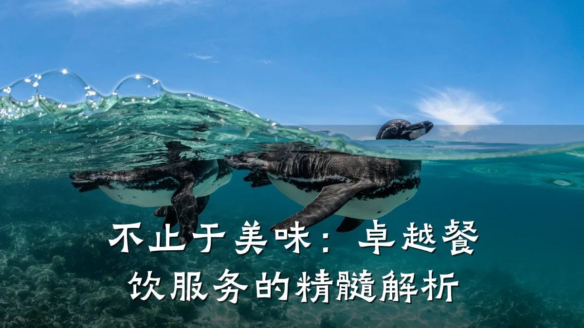不止于美味：卓越餐饮服务的精髓解析