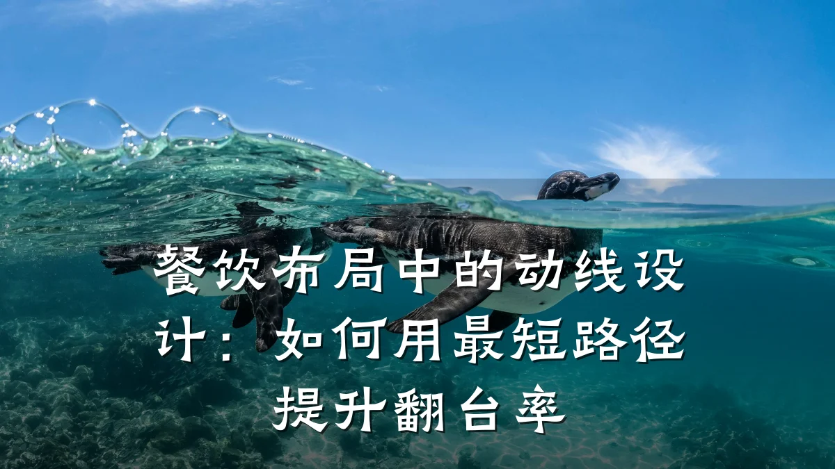 餐饮布局中的动线设计：如何用最短路径提升翻台率