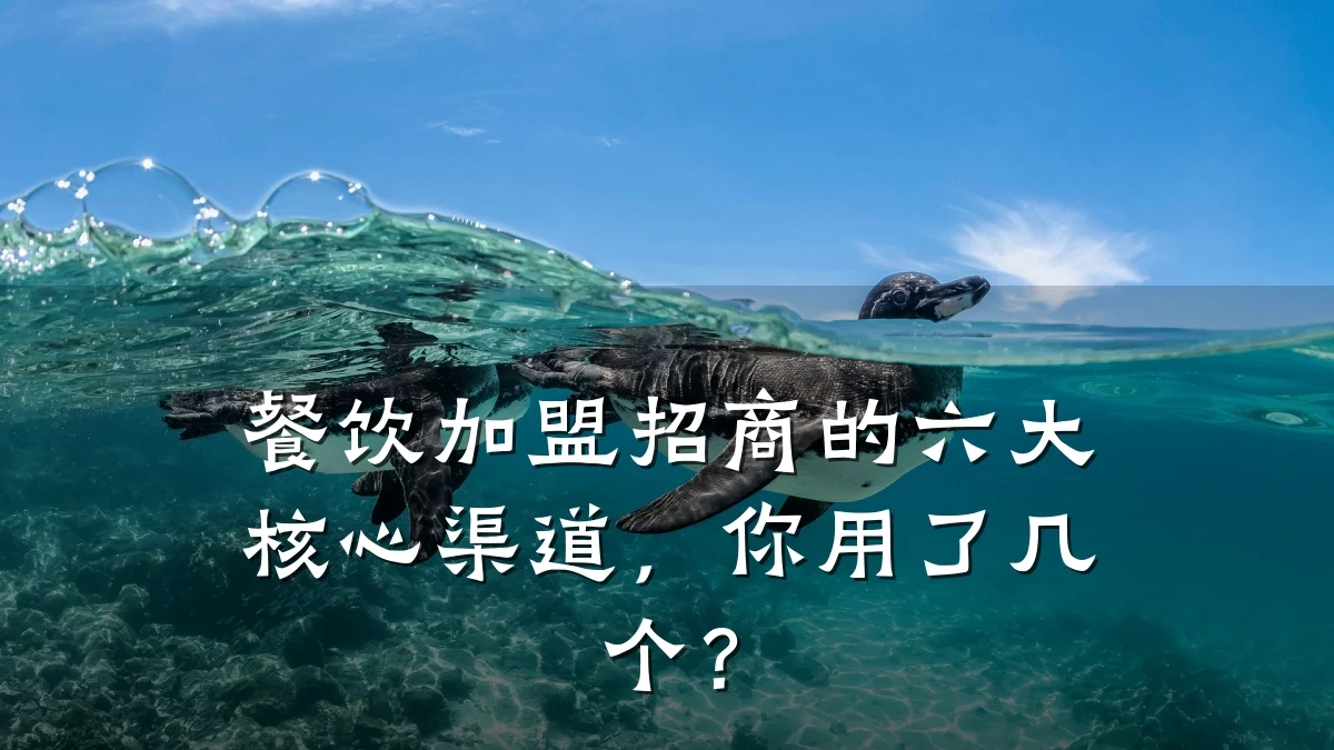 餐饮加盟招商的六大核心渠道，你用了几个？