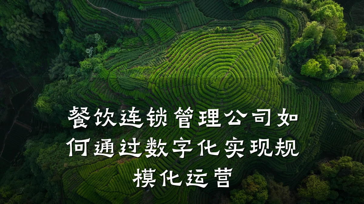 餐饮连锁管理公司如何通过数字化实现规模化运营
