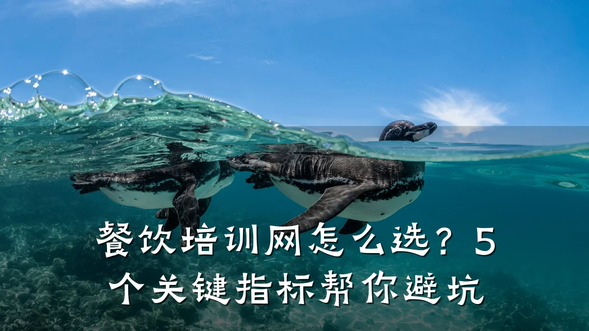 餐饮培训网怎么选？5个关键指标帮你避坑