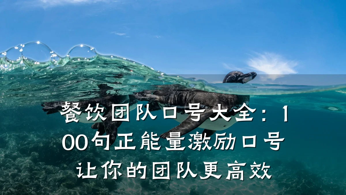 餐饮团队口号大全：100句正能量激励口号让你的团队更高效