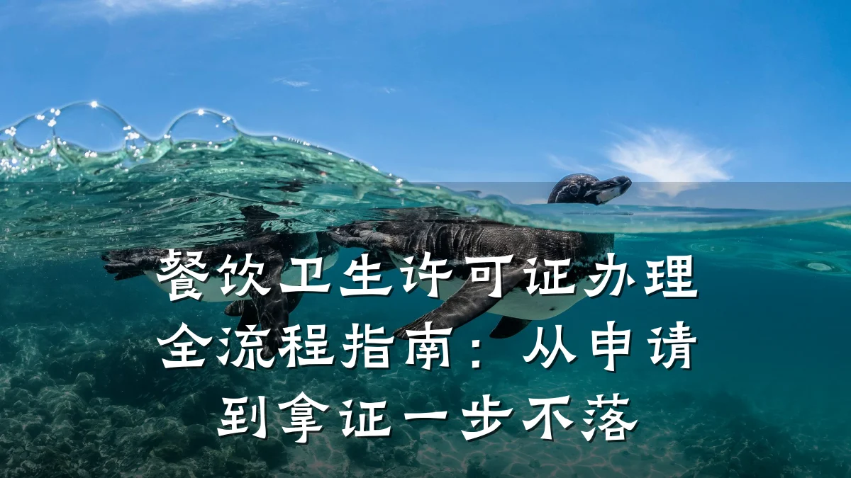 餐饮卫生许可证办理全流程指南：从申请到拿证一步不落