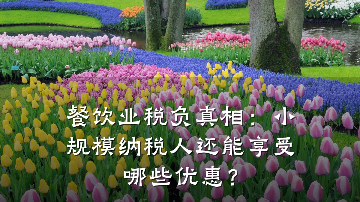 餐饮业税负真相：小规模纳税人还能享受哪些优惠？