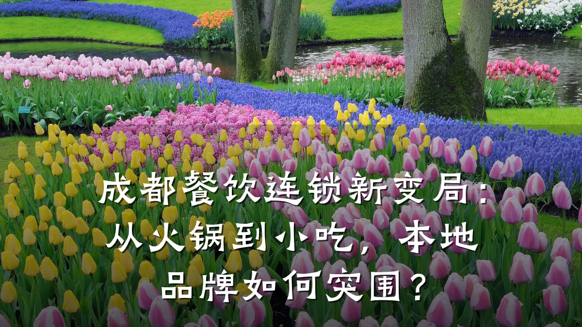 成都餐饮连锁新变局：从火锅到小吃，本地品牌如何突围？