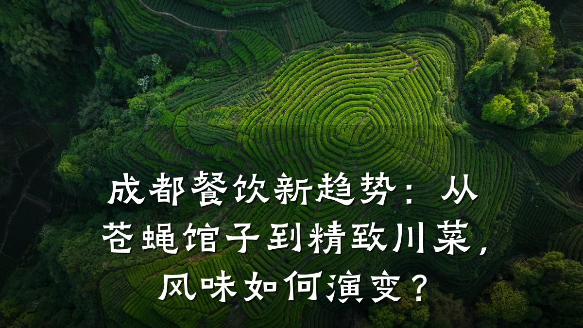 成都餐饮新趋势：从苍蝇馆子到精致川菜，风味如何演变？