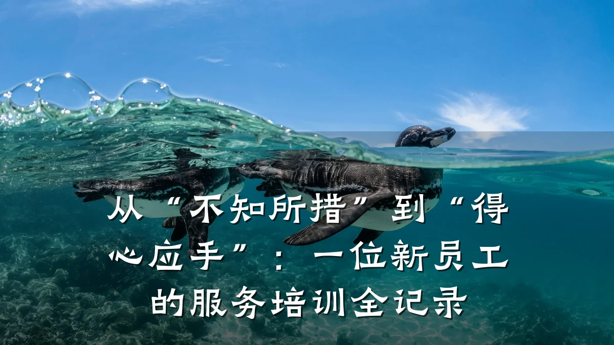 从“不知所措”到“得心应手”:一位新员工的服务培训全记录