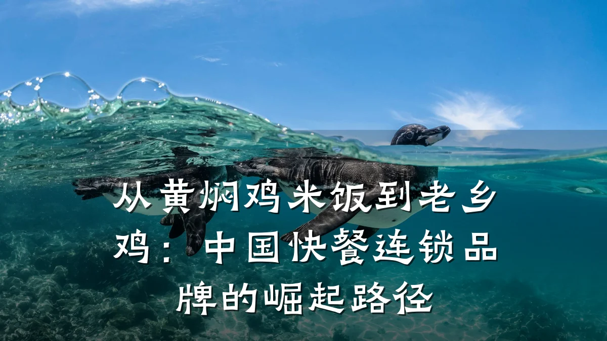 从黄焖鸡米饭到老乡鸡：中国快餐连锁品牌的崛起路径